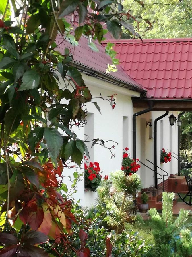 Klodawa  Agroturystyka Rebowo מראה חיצוני תמונה